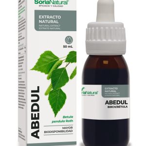 Екстракт от Бреза за детокс и здрави пикочни пътища