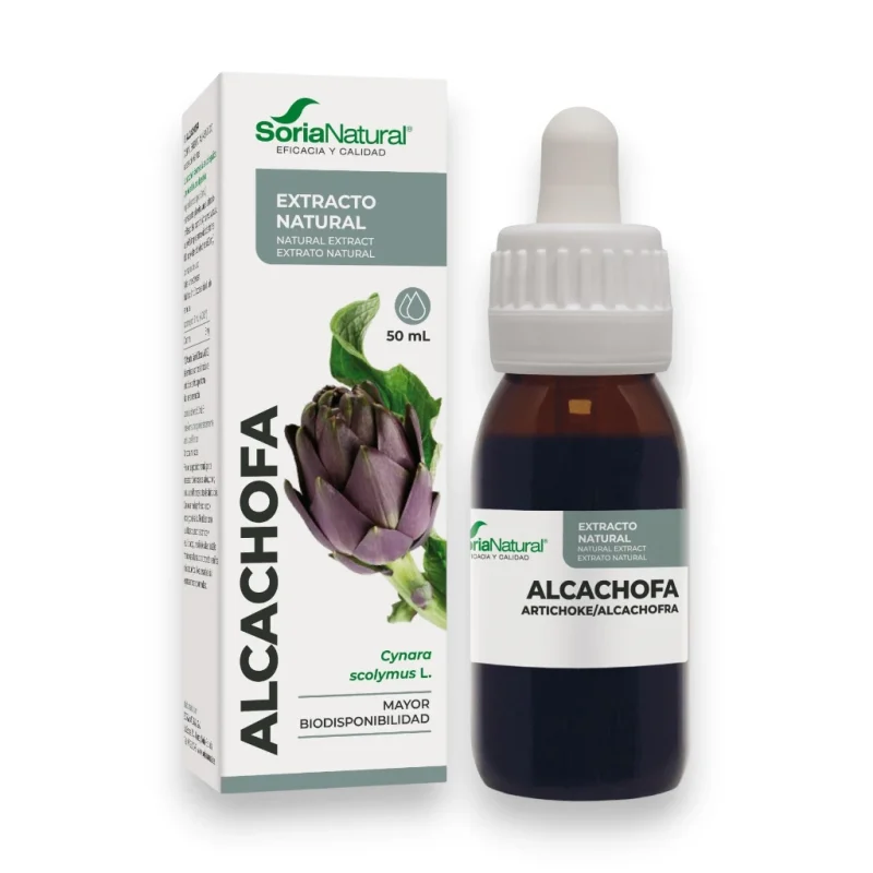 artichoke 1