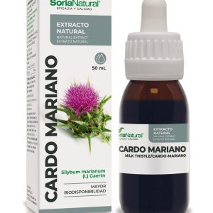 Екстракт от Бял трън за черния дроб