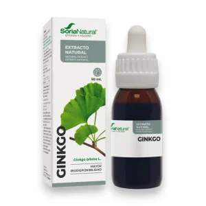 Екстракт от Гинко Билоба