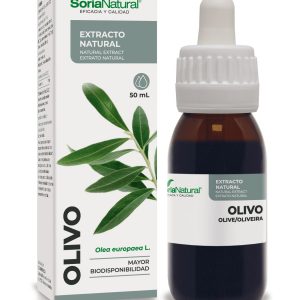 Екстракт от Маслинови листа