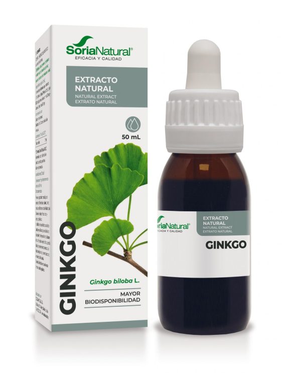 Гинко билоба кутия